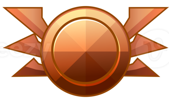 Paquete Bronce - 
